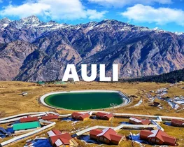 Auli